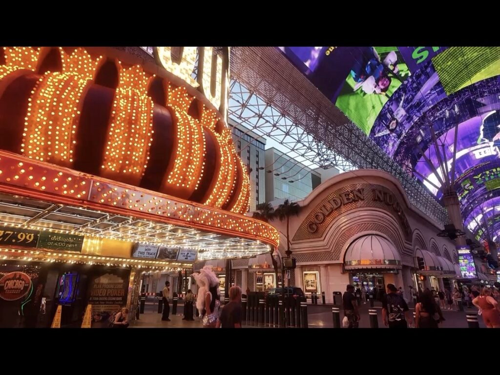 オズモポケット3で撮影した動画のスクリーンショット